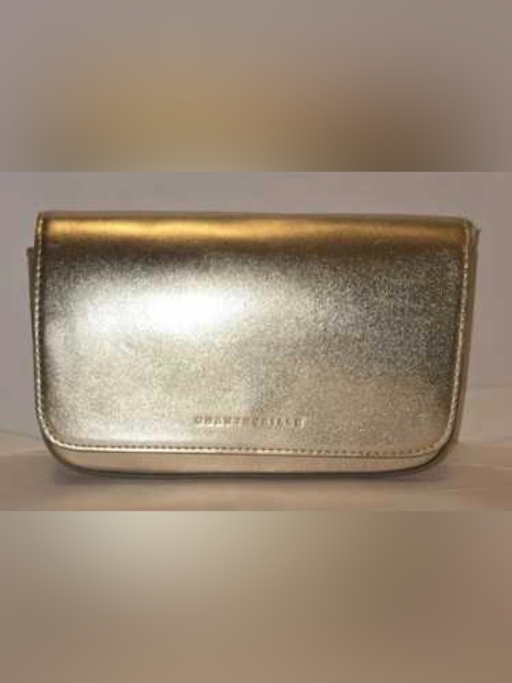 New Chantecaille Shimmering Gold Clutch